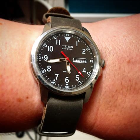 field watch nato strap